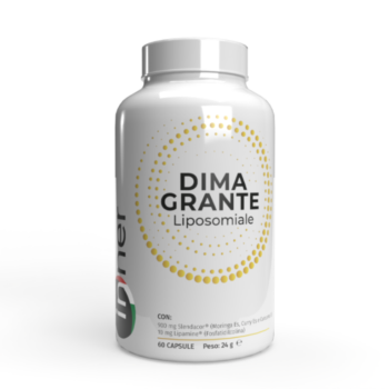 Dimagrante-Liposomiale-Inner