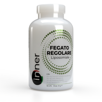 fegato-regolare-1