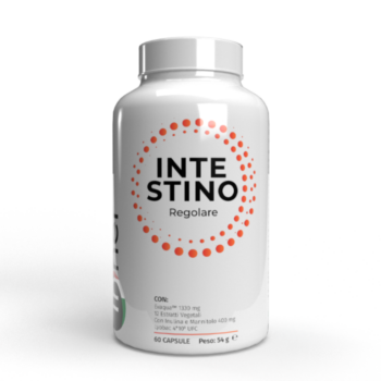 intestino-regolare-inner