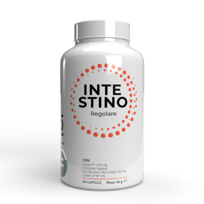intestino-regolare-inner