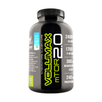 volumax_mtor_2022